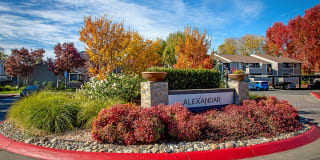 The Alexandar Gallery 26