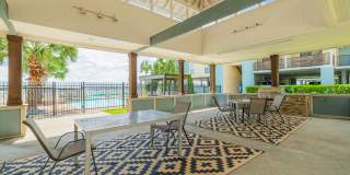 Pirates Landing Gallery 23