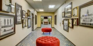 Belmont Buckingham Gallery 10