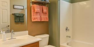 20311 North 271st Avenue Gallery 12