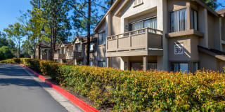 Westridge Apartment Homes Gallery 14