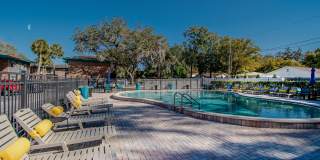 Watermarc Gallery 22