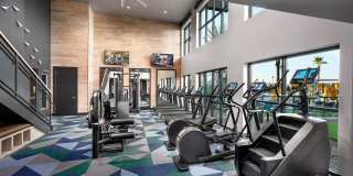 Hangar 44 Gallery 21