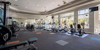 Palazzo Townhomes Gallery 33