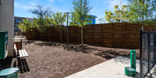 Osprey Apartments Gallery 60