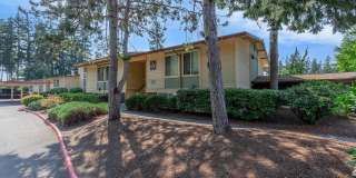 Carrington Gallery 30