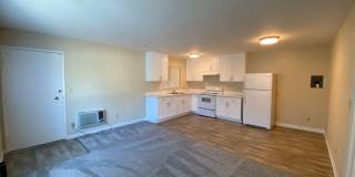 Remodeled 1 bed 1 bath apartment available now Gallery 1
