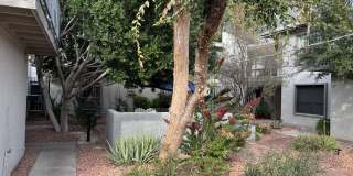 4111 E Camelback Road unit: 17 Gallery 2