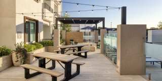 ZIA Apartments Gallery 29