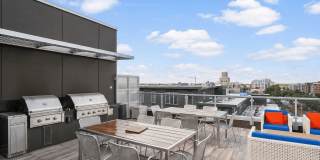 Blue and Lime Gallery 27