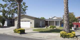 Great Fremont Location • Freshly Painted • Central A/C Great Fremont Location • Freshly Painted • Central A/C Gallery 1