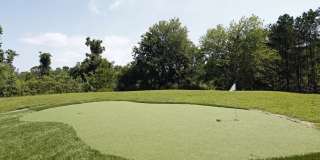 Cadia Myrtle Landing Gallery 36