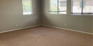 11456 Banyan Reef Street Gallery 13