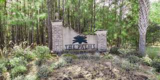 25 Sago Palm Way Gallery 48