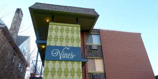 Vines Gallery 5