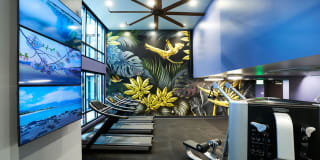 Modera Rincon Hill Gallery 32