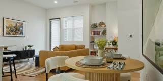 Edera Gallery 8