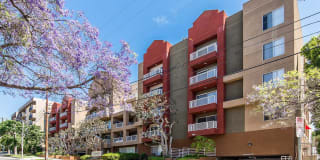 Marlon Manor Apartments Gallery 6