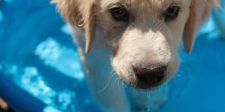 Spencer 68 Gallery 57