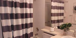 Beautiful 3-bedroom, 2-bath rental home Gallery 13