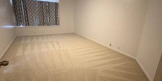 4 Bed 2.5 Bath Gorgeous Home in Wagon Trails Gallery 19