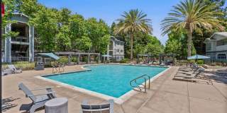 Monterey Grove Apartments Gallery 11
