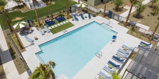 The Lotus Gallery 22