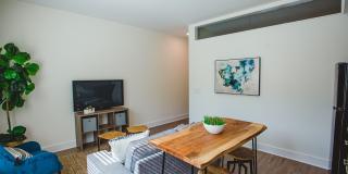 The Oliver The Oliver Gallery 6