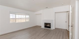 38938 Malva Rosa Drive Gallery 11