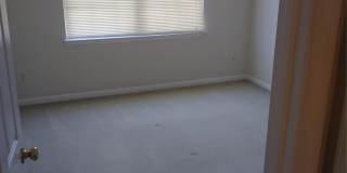 12029 Stone Forest Drive Gallery 15