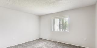 Tempe Vista Gallery 93
