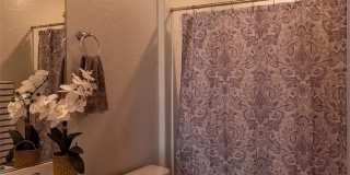 92 Lake Oasis Street Gallery 19