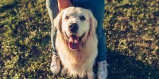 Blu Harbor by Windsor Gallery 85