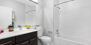 State & Chestnut Gallery 6