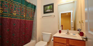 22233 FALLING Terrace Gallery 20