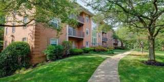 3336 SPRING Lane Gallery 1