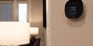 Citron at the Packing District Gallery 24