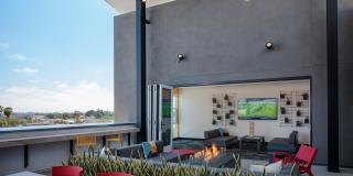 Kelvin Gallery 11
