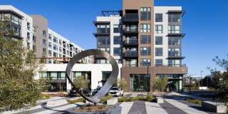 Avelle Gallery 6