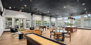 Terra Terra Gallery 21