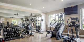 San Merano at Mirasol Gallery 28