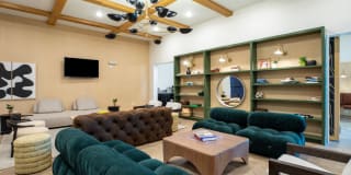 Cavalli at Iron Horse Station Gallery 12