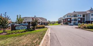 The Southern Gallery 1