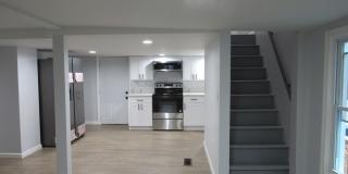 17 Woodbine Street Gallery 11