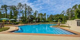 Paradise Island Gallery 41