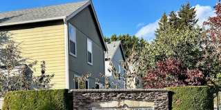 Roomy 4-Bedroom Home in Quiet Panther Lake Location Gallery 3