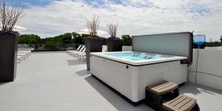 The Harrison Gallery 38