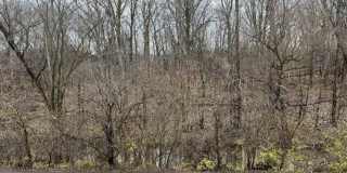 2233 S Huron Parkway Gallery 15