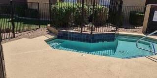 LP1 Research - #1000 Gallery 14