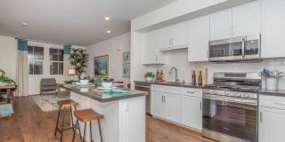 Vineyards Gallery 115